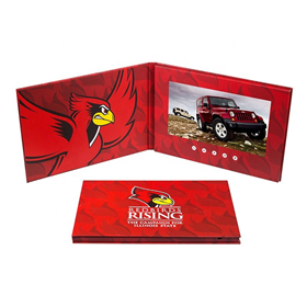Video Card/Brochure